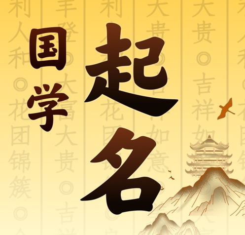 双清国学起名 人工起名一对一